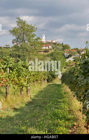 Paysage méditerranéen avec Smartno rural village médiéval et vignobles. Région sdrb dans l'ouest de la Slovénie. Banque D'Images