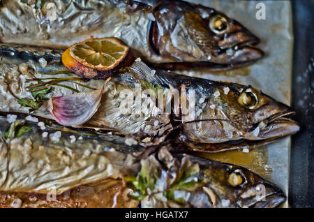 Excellent poisson bleu frais pour une alimentation saine fraîchement cuisinés avec de l'huile d'olive, citron et herbes Banque D'Images