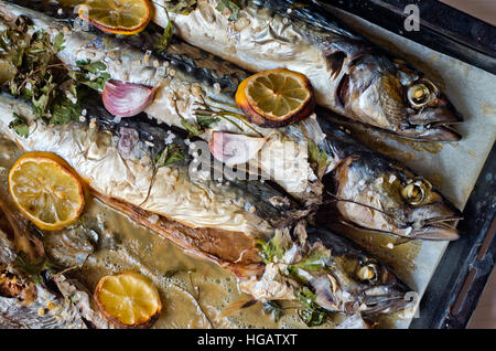 Excellent poisson bleu frais pour une alimentation saine fraîchement cuisinés avec de l'huile d'olive, citron et herbes Banque D'Images