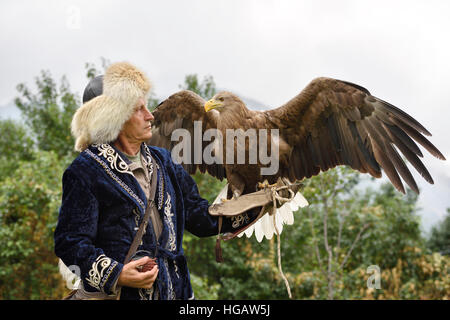 Trainer holding a White Tailed Eagle avec ailes propagation à Almaty Kazakhstan Sunkar ferme Falcon Banque D'Images