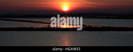 Coucher du soleil d'hiver sur une vidange Fenland, Cambridgeshire, Angleterre, Grande-Bretagne, Royaume-Uni Banque D'Images