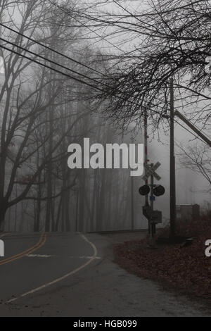 Railroad Crossing dans la brume, de Sapin baumier, de montagnes Great Smoky Mountains, North Carolina Banque D'Images