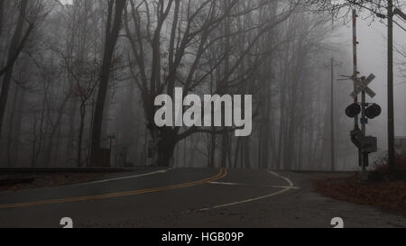 Railroad Crossing dans la brume, de Sapin baumier, de montagnes Great Smoky Mountains, North Carolina Banque D'Images