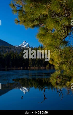 Mt Washington du Suttle Lake Trail, McKenzie Col Pass-Santiam National Scenic Byway, forêt nationale de Deschutes, Oregon Banque D'Images