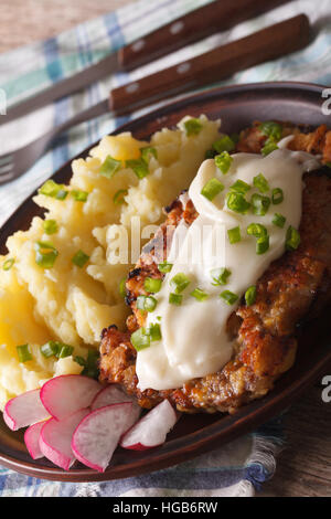 Steak frites de poulet et sauce blanche avec de la purée de pommes de terre sur une plaque verticale, close-up Banque D'Images