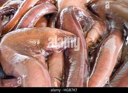 Les anguilles au marché. Un affichage des anguilles aux yeux bleus à la vente à un poisson mongers stand au marché de Ponta Delgada. Banque D'Images