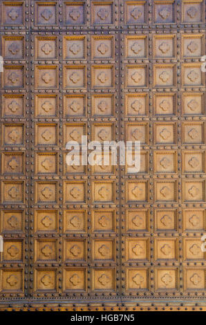 Detail shot de porte en bois, le motif ou la texture de la cathédrale ou l'église cathédrale de Sienne, Italie, Europe Banque D'Images