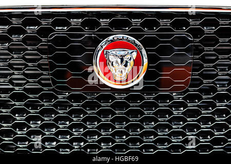 L'Italie, Bologna Motor Show 2016 Jaguar, symbole de l'emblème à l'avant du véhicule libre Banque D'Images