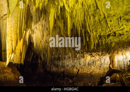 Formation Speleothem ou une grotte, formation de carbonate de calcium dans Jewel Cave, Augusta, dans l'ouest de l'Australie. Banque D'Images