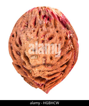 Peach Pit isolé sur fond blanc clipping path Banque D'Images