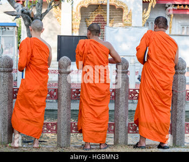 Trois moines bouddhistes thaïlandais au Wat Benchamabopit poissons d'alimentation à Bangkok, Thaïlande Banque D'Images