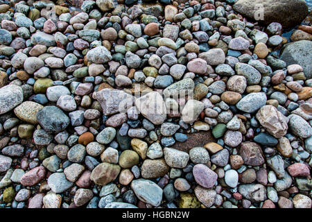 Beaucoup de grandes et petites pierres, cailloux sur une plage, côte de la mer Baltique, l'île de Rügen, Allemagne Banque D'Images