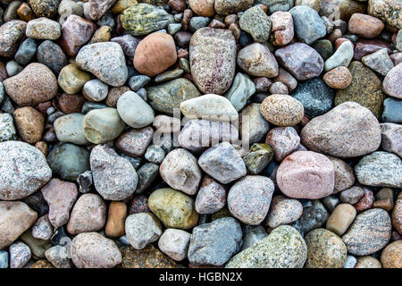 Beaucoup de grandes et petites pierres, cailloux sur une plage, côte de la mer Baltique, l'île de Rügen, Allemagne Banque D'Images