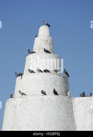 Qatar, Doha, Qassim mosquée, beaucoup de pigeons sur le toit Banque D'Images