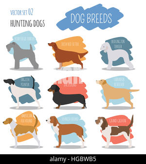 Les races de chiens. L'icône du chien de chasse. Style plat. Vector illustration Banque D'Images