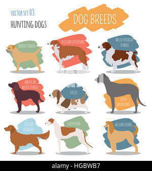 Les races de chiens. L'icône du chien de chasse. Style plat. Vector illustration Banque D'Images