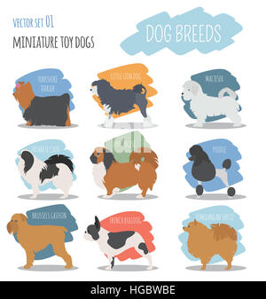 Les races de chiens. L'icône du chien jouet miniature. Style plat. Vector illustration Banque D'Images