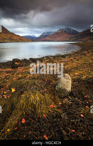 Près de Loch Creran Cregan dans les Highlands écossais. Banque D'Images