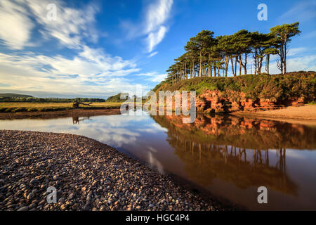 L'arbre reflète dans la loutre de rivière à Budleigh Salterton Devon dans le sud-est Banque D'Images