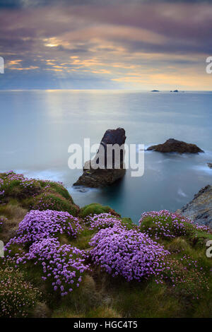 Une pile de la mer près de Treyarnon Bay sur la côte nord des Cornouailles ,capturé peu avant le coucher du soleil au printemps. Banque D'Images