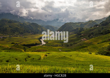 Verte Vallée de Sapa au Vietnam du Nord Banque D'Images