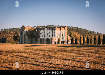 Vestiges de l'abbaye cistercienne de San Galgano, situé près de Sienne, en Italie. Banque D'Images