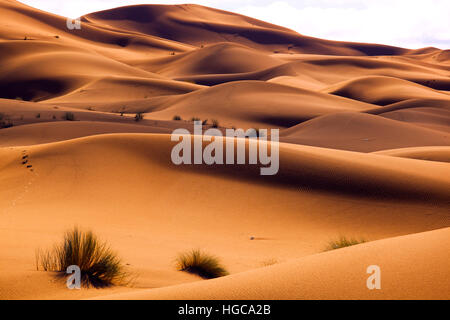 Tôt le matin sur l'Erg Chebbi Dunes Sahara Maroc Afrique du Nord Mars Banque D'Images