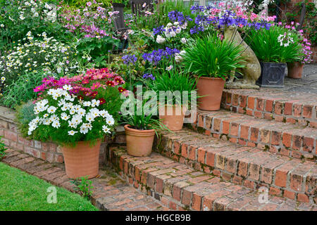 Terrasse jardin coloré avec des lits de fleurs et planté des conteneurs un affichage très attractice en face d'une maison de campagne Banque D'Images