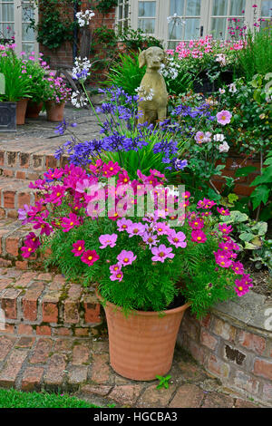 Terrasse jardin coloré avec des lits de fleurs et planté des contenants de Cosmos très attractice afficher en face d'une maison de campagne Banque D'Images