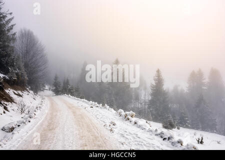 Paysage de montagne d'hiver. route qui mène dans la forêt de sapins couverts de neige en un jour brumeux Banque D'Images