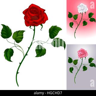 Trois options peint artistiquement roses : rouge sur fond blanc, rose au gris, blanc à rose. Illustration de Vecteur