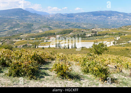 Domaine Helios Winery, Nemea, péninsule du Péloponnèse, Grèce Banque D'Images