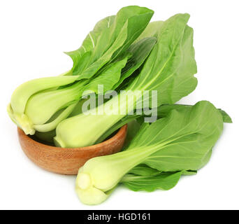 Le Bok Choy organique dans un bol en bois sur fond blanc Banque D'Images