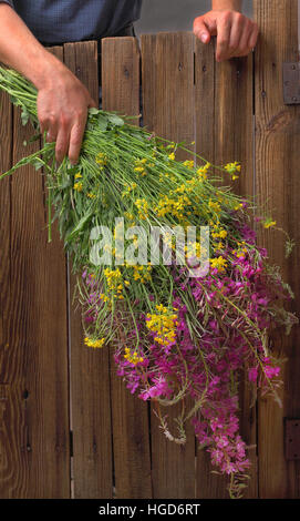 Homme tenant un énorme bouquet de fleurs sauvages, un bouquet à la main, un bouquet sur une clôture en bois, fleurs sur les conseils d'administration, vieille clôture en bois, rareté Banque D'Images