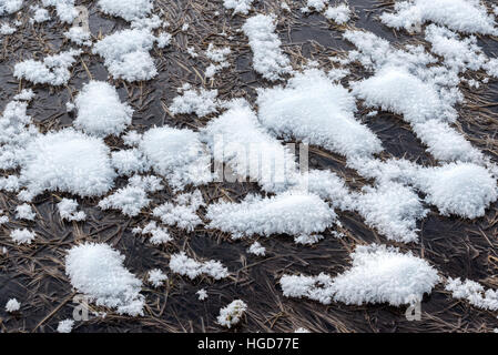 Cristaux de givre à un ressort dans l'Oregon est Montagnes Wallowa. Banque D'Images