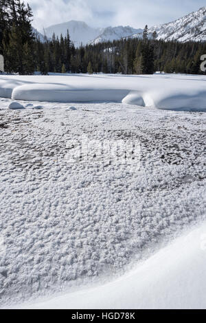 Cristaux de givre à un ressort dans l'Oregon est Montagnes Wallowa. Banque D'Images