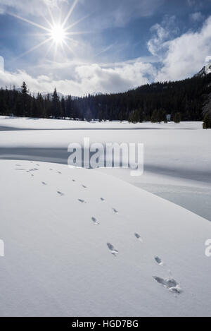 Le cours supérieur de la rivière Wallowa en hiver, les montagnes Wallowa, Oregon. Banque D'Images