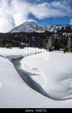 Le cours supérieur de la rivière Wallowa en hiver, les montagnes Wallowa, Oregon. Banque D'Images