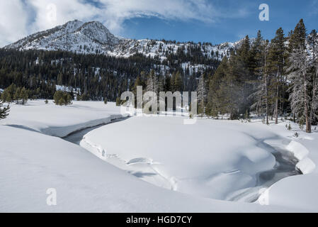 Le cours supérieur de la rivière Wallowa en hiver, les montagnes Wallowa, Oregon. Banque D'Images