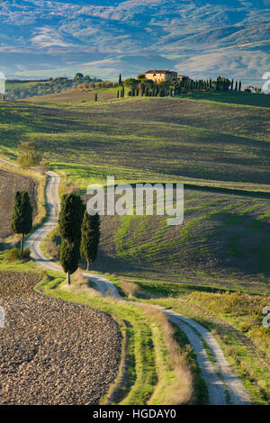 Ferme la voie sinueuse menant à villa comté près de Pienza, Toscane, Italie Banque D'Images