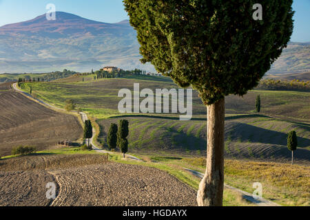 Ferme la voie sinueuse menant à villa comté près de Pienza, Toscane, Italie Banque D'Images