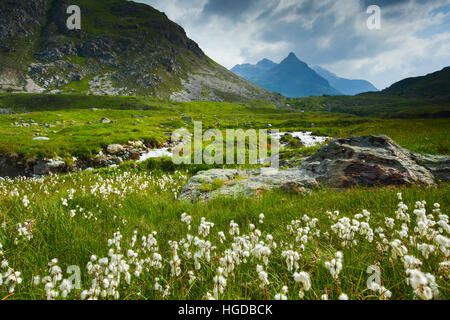 Julier dans les Grisons Banque D'Images