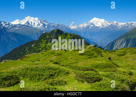 Alpes Suisses, Mischabel, le Cervin, le Weisshorn, Valais, Suisse Banque D'Images