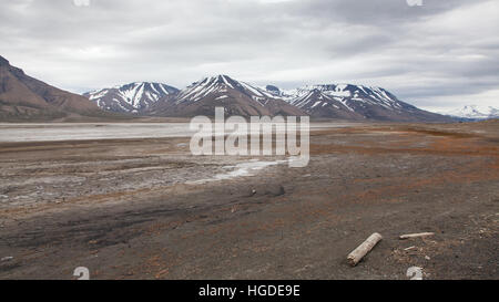 Monte Carlo, Longyearbyen, tundra Banque D'Images