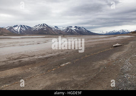 Monte Carlo, Longyearbyen, tundra Banque D'Images