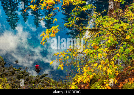 De l'Oregon, forêt nationale de Willamette, bleu piscine sur la rivière McKenzie, Tamolitch, Piscine Banque D'Images