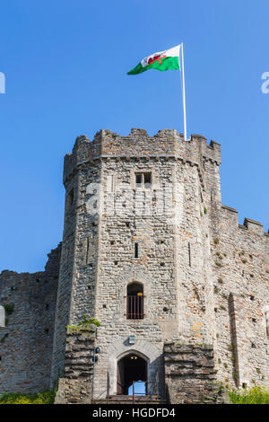 Pays de Galles, Cardiff, Cardiff Castle, le donjon normand Banque D'Images