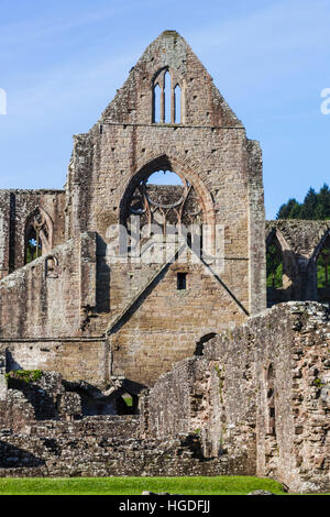 Pays de Galles, Monmouthshire, Abbaye de Tintern Banque D'Images