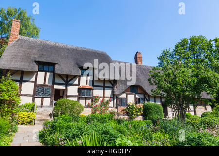 L'Angleterre, dans le Warwickshire, Cotswolds, Stratford-Upon-Avon, Anne Hathaway's Cottage Banque D'Images