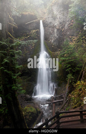 WA TOK-001...WASHINGTON - Maymere Falls près du lac Crescent dans le parc national Olympic. Banque D'Images